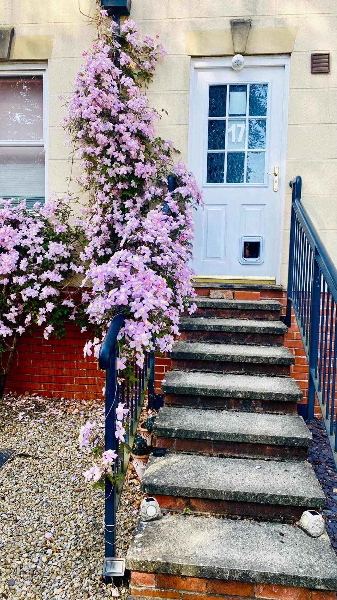 Modern Ground Floor Apartment With Free Parking Very Near Centre Ripon Eksteriør billede